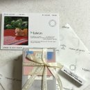 드리머 | 메종드오너 지속력 좋은 데일리 향수 드리머가든 사용후기