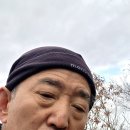 금평1길 | 김제 구성산