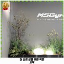 석남치안센터 | 광천동 헬스장 MSGym 추천 1순위 가격 주차 예약 리뷰 알아봐요