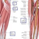 마디로한의원 이미지