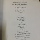 힐링 꽃과 식물 세밀화 이미지