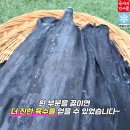 순이네건어물
