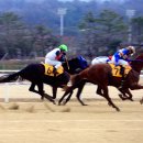 경마공원 이미지