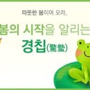 팔짝