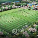 축구센터 축구장 이미지