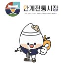 안계5 쿠키뉴스
