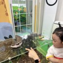 향토이야기 &amp; 럭키쥬 이미지