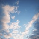 아이(233) | 오사카 워홀 D+233 | [다카마쓰여행] 우동현 카가와