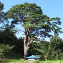 수로부인길 이미지