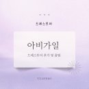청담 드레스투어 | *아비가일 후기*(당일혜택 공유/제이웨딩)
