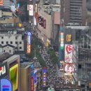 렉스 관광 호텔 | SNS 올리자마자 난리 난 상하이 여행 코스