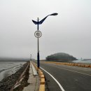 조도대교 이미지