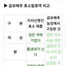 바해 이미지