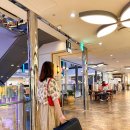 직장인 노트북 백팩 추천, 엑스디디자인 바비이즈 2.0