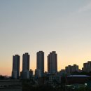 한뫼도서관 교양교실1 네이버블로그