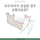 세이지치과의원 이미지