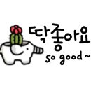 이진샾 이미지
