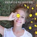 인생역전 Daum카페