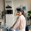 우도 선착장 장애인용 | 제주도 6월 우도 수국 여행 | 성신항에서 우도 가는법 | 주차 | 검멀레해변 | 전기자전거 대여