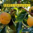 배감농장 이미지