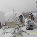 담양 반딧불 이미지