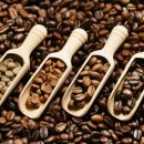 범계연세정형외과의원 이미지