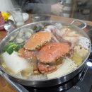 모디포차 네이버블로그