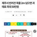 제주서 반려견 목줄 2m 넘으면 과태료 최대 50만원 이미지