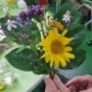 내곡동467 이미지