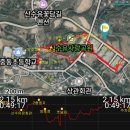 지리산정원 구례수목원+구례산수유마을+섬진강대나무숲(2024.3.26)