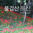숲향여행사 이미지