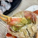 죽도집 | 포항 죽도시장 맛집 바가지 없는 갈릴리대게회식당