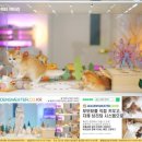 골드 캐터리 이미지