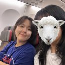 마라기행 | 사이판기행_1~2일