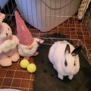 송죽가헌 이미지