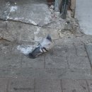 부평시장역 이미지