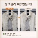 월드명품세탁소 이미지