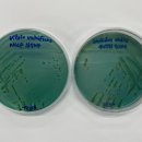 전라북도 보건환경연구원 이미지