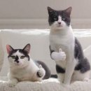 금천수요양병원 이미지