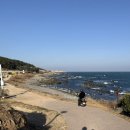 슬도주차장화장실 | [울산 방어동] 슬도 인근 햇살 맛집 카페, 봄에 오기 좋은 카페, 내돈내산 오브릭 카페 후기