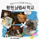 냥집사 티스토리
