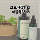 47 | 식물영양제 초보 식집사도 쉽게 쓰는 앰플형 영양제 선데이플래닛47 후기