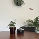 한천로115길 이미지