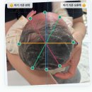 e편한세상시티 광교 | [사두/단두] 신생아 영아 사두 단두 자연 극복기 | 0개월(41일)에서 6개월(177일)까지