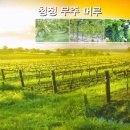 거창-고제-3 이미지