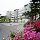 대전외국어고등학교 이미지