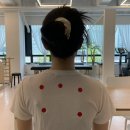 바디코드 필라테스&PT 산본점 | [산본] 1:1로 필라테스와 PT를 함께 받을 수 있는 바디코드 산본점
