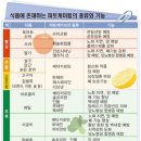 컬러푸드 이미지