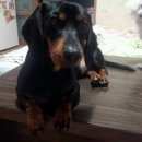 대전대흥초등학교 이미지