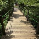 붉은오름자연휴양림 헤드라인제주